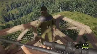🔴live on chasse des animaux avec mon pote (go les 100 abonner)🔴