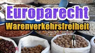 Die Warenverkehrsfreiheit - Europarecht 13