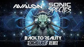 Avalon & Sonic Species - Back to reality (Digicult Remix)