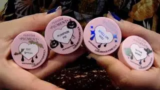 P.Louise Cosmetics Squad Ghouls Duo-Chrome Pigments Review