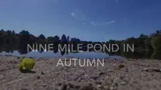 Nine Mile Pond (Wilbraham) in Autumn: A drone tour
