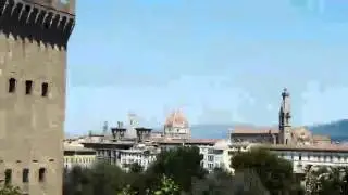 Stefano Bemer - The video!