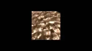 Cymatics - Slow Motion close up
