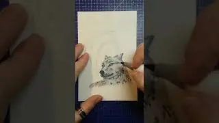 Inktober Day 24 Extinct | The Newfoundland Wolf... Uno Reverse? #shorts