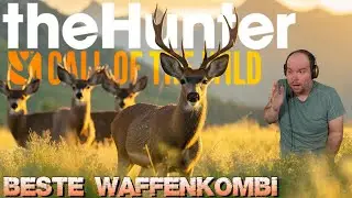 Die BESTE WAFFENKOMBINATION in 2024! || theHunter Call of the Wild