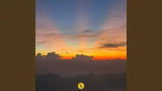belong