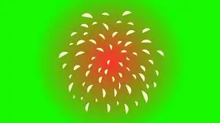 Green screen effects | Neon border | Firework |#12 #shaliniprateekbajpai