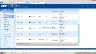 ZTE NR8250 MW link Configuration