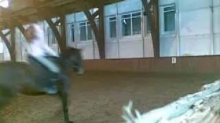 14022010.mp4