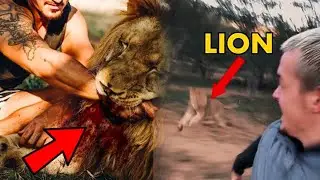 Top Dean Schneider Lion Attacked That Went Wild