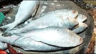 🔴 Live Fish Cutting Processing from Market | For USA & Europe Viewers