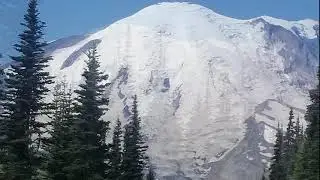 Relaxing Drive to Sunrise - Mount Rainier National Park U.S. National Park  Washington