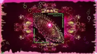 H Undo OTT e - KMnO4 (acidified)