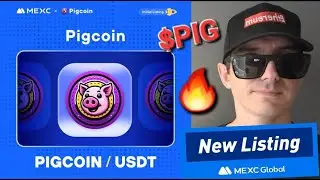$PIG - PIGCOIN TOKEN CRYPTO PIG COIN HOW TO BUY MEXC GLOBAL MATIC POLYGON UNISWAP SUSHISWAP AIRDROP
