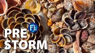 Shelling Pass-A-Grille Pre Storm