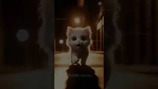 Rabbit's journey 99