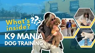 Inside Long Island&rsquo;s #1 Dog Training Facility | K9 Mania Facility Tour