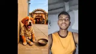 #cute #puppy poor dogy search for my video