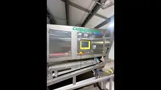 Raytec Vision Discovery Series Belt Optical Sorter, Model D-450-B - Stock# 73336001