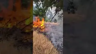 Registran momento en que rayo inici&oacute; incendio