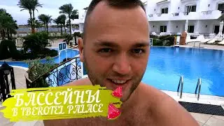 Купаемся в бассейнах в Египте зимой / Бассейн для ковидных в Iberotel Palace