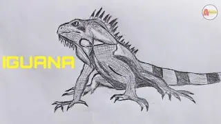How to Draw An Iguana Lizard Easily And Step by Step - Abhishek Educare