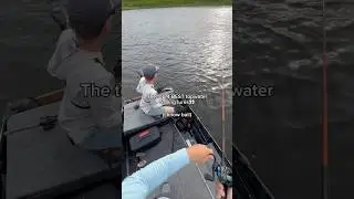 Top 4 BEST topwater lures!😳 #fishing #shorts
