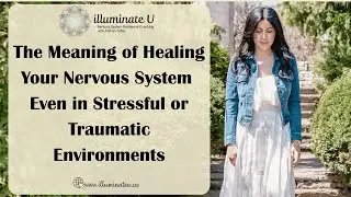 The Meaning of Healing Your Nervous System (Even in Stressful or Traumatic Environments)