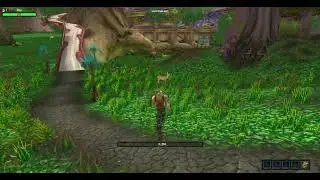 Random run in a WoW clone. Java - OpenGL game engine.