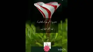 Urdu Quotes | Top Ten Urdu Quotes by Dr. Sajid | part 6