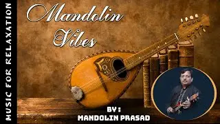 Mandoline Vibes | By Mandoline Prasad | Instrument | Video | Galary | @RAGASHREEMUSICACADEMY