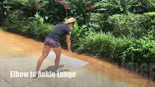 Envision Fitness - Walking Plank