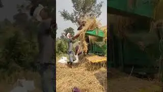 Old mahindra 265 di thresher me dhan meste huwe #mahindra #threser
