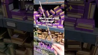 Choosing a wand for Hogwarts 😊❤️#harrypotter #hogwarts #harrypotterwands #japantrip #wands