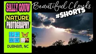 #Shorts｜Beautiful Clouds-1｜Sky Photography ｜Best NC Nature Photography ｜Sunset/sunrise Photography