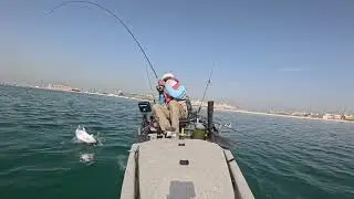 Dubai Kayaking 22 3 2024 Hammour x 2