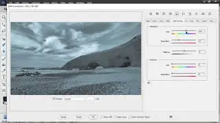 RAW Corrections: BW and Toning (PSE 11+, Elements+)