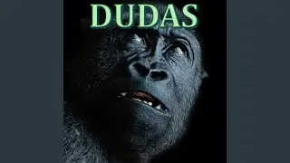 Dudas