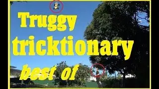 werner RC freestyle tricks : truggy tricktionary best of, rc freestyle skills, raw sound