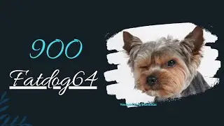A First Look At Fatdog64 Linux 900