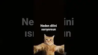 neden dilini ısırıyorsun