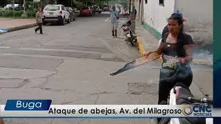 Ataque de abejas, Av  del Milagroso
