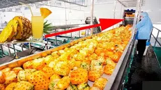Pineapple juice Production Process In Modern Factory - Amazing Machine Technology
