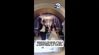 Brazen wedding crasher caught on camera stealing couple's gifts