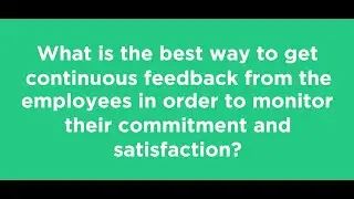 Employee survey - the essential questions answered