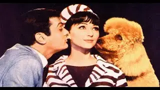 &diams;Comedy Classics&diams; 'Wild and Wonderful' (1964) Tony Curtis, Christine Kaufman