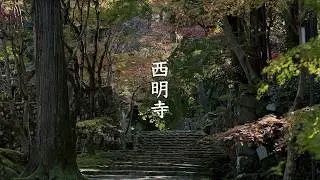 Saimyoji Temple - Shiga - 西明寺 - 8K Ultra HD