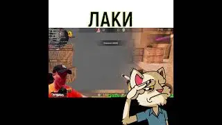 ЛАКИ МАСТЕР segin standoff