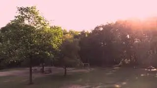 Elmshorn | Sonntag fr&uuml;h im Liether Wald