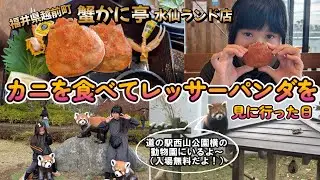 【福井小旅行おすすめコース♪】ここに行けば大満足間違いなし！！